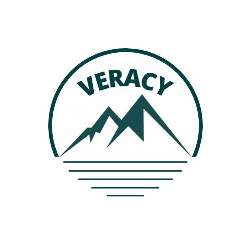 Logo net